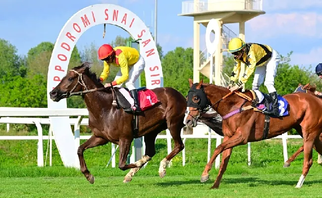 Ippica, Ippodromo Snai San Siro: galoppo, Calzolaia vince nettamente il Premio Piazzale Lotto