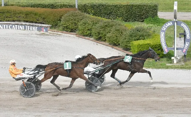Ippica, all’ippodromo Snai Sesana lunedì di trotto con la prima Tqq stagionale nella 4^ giornata ed ultima di aprile