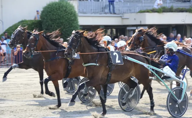 Ippica, Ippodromo Arcoveggio Bologna: il resoconto delle corse di domenica 26 aprile