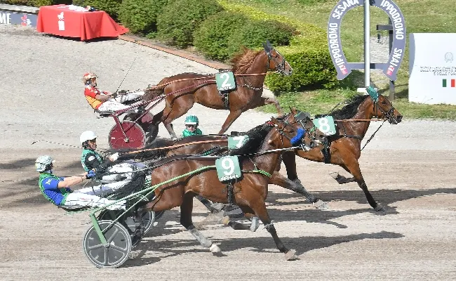 Ippica, Ippodromo Snai Sesana: trotto, Ipomea di Poggio vince il Premio Ringostarr Treb, sorpresa Golden Guia nel Premio Vernissage Grif