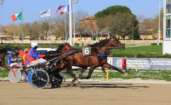 Ippica, Ippodromo Arcoveggio di Bologna: 1° maggio alle corse, dalle 15:08 buoni spunti tecnici e clou per free for all al termine