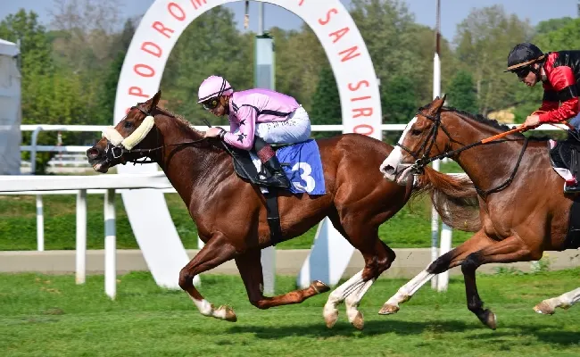 Ippica, 1° maggio di sport e divertimento all'Ippodromo Snai San Siro con il Premio Parioli e il Regina Elena