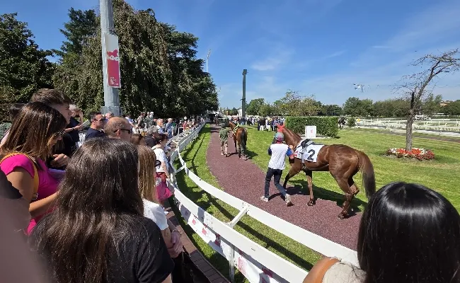 Ippica, Ippodromo Snai San Siro: sabato di galoppo con il Premio Emanuele Filiberto e l’Handicap di Primavera