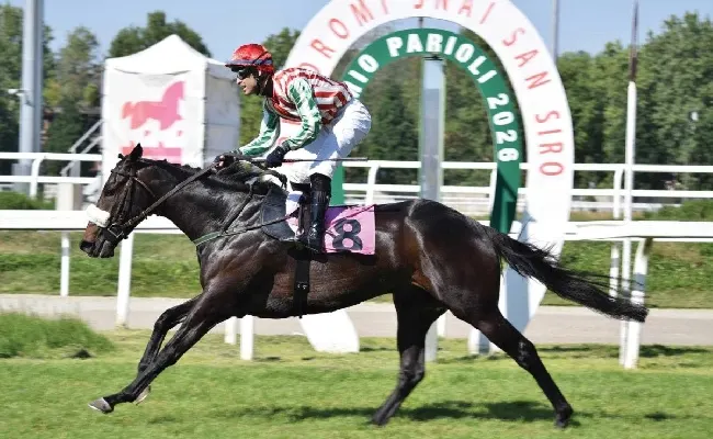 Ippica, 1° maggio di galoppo all’Ippodromo Snai San Siro: trionfano Grand Son of Dark e Just Call Me Angel