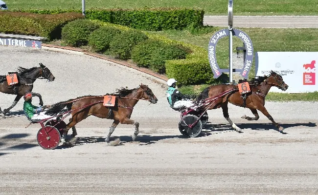 Ippica, Ippodromo Snai Sesana: nel 1° maggio di trotto festeggia Antonio di Nardo, autore di un poker di vittorie