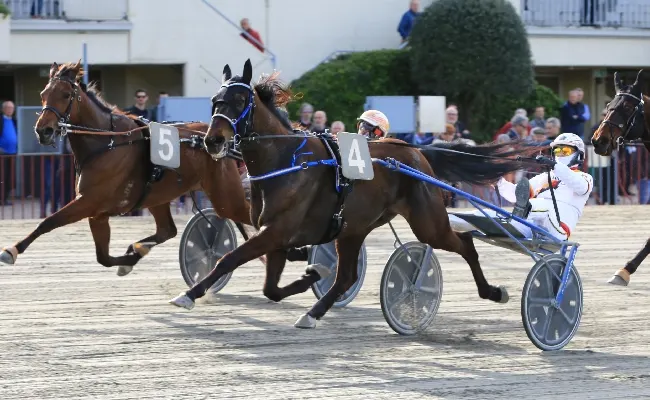 Ippica, Ippodromo di Bologna: Diamond Francis punta alla vittoria in un clou ad alta velocità. Il 7 maggio otto corse con inizio alle 15:10