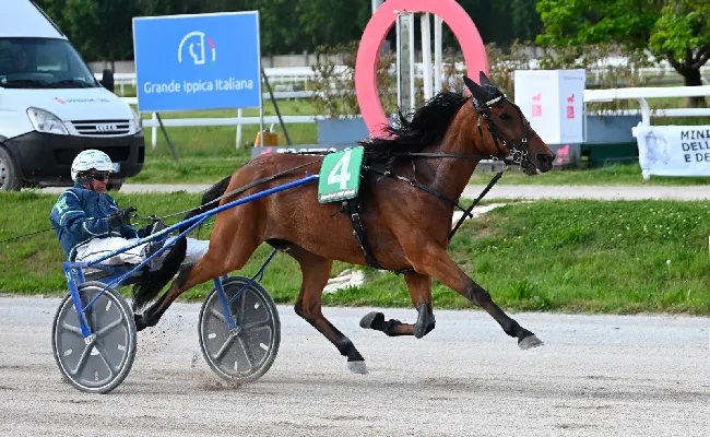 Ippica, Ippodromo Snai San Siro: trotto, Giulia Dance si conferma in grande forma vincendo il Premio Allevamento Bigi