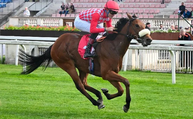 Ippica: all'Ippodromo Snai San Siro il mercoledì di galoppo con Profit Centre in evidenza, sabato il Premio Bereguardo