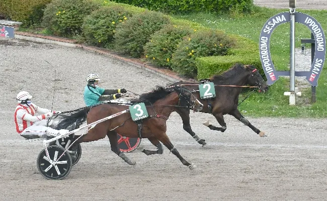 Ippica, Ippodromo Snai Sesana: Emily vince il Premio Alouette
