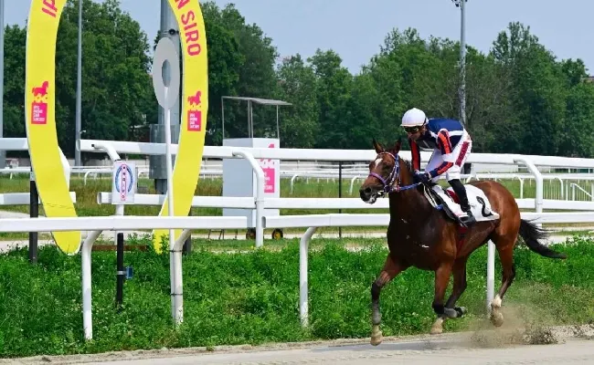 Ippica: all’Ippodromo Snai San Siro sabato con Over Solution che, con Quota Shock, fa suo il Premio Equality. Martedì 2 Giugno arriva il ‘Derby Day’