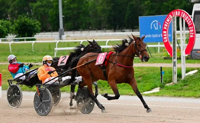 Ippica, Il Trio Jet vince il Gran Premio Nazionale e Guglielmo Jet il Triossi nella notturna di trotto all’Ippodromo Snai San Siro
