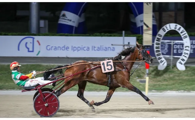 Ippica, Ippodromo Cesena Trotto: Cordobes vince il Premio Bronchi Combustibili