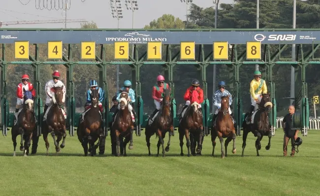 Ippica, Ippodromo Snai San Siro: martedì di galoppo con otto prove tra cui le condizionate Premio Tramuschio e Boffalora