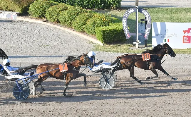 Ippica, all’Ippodromo Snai Sesana giovedì sera di trotto avvincente con Danielino che non si fa scappare la Prova Tqq per il premio in onore della Scuderia Cupolone