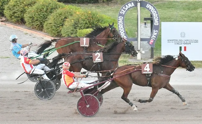 Ippica, all’Ippodromo Snai Sesana mercoledì 1° luglio con il trotto e il trotto montato a partire dalle ore 20:15. Sette corse tra cui la condizionata valida per il Premio Scuderia Nuova Peretola
