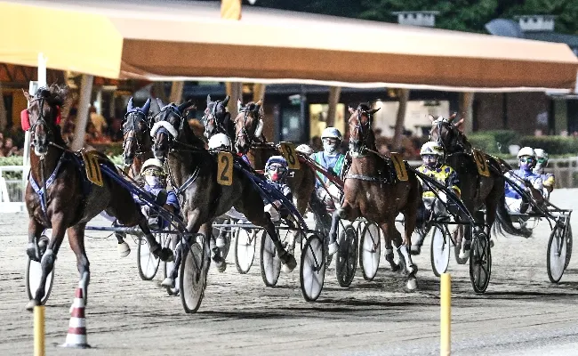 Ippica, Ippodromo Cesena Trotto: il resoconto delle corse di martedì 30 giugno