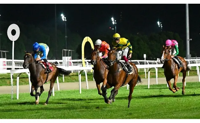 Ippica, sabato di galoppo all'Ippodromo Snai San Siro: sei prove al via dalle ore 20