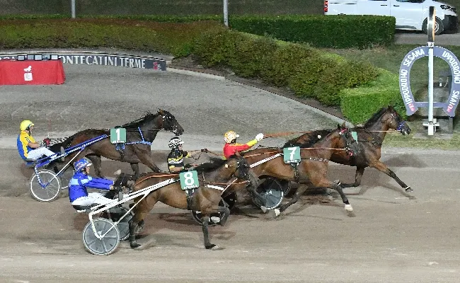 Ippica, il venerdì di trotto all'Ippodromo Snai Sesana vede protagonista Frida Gso nella corsa per il Tqq