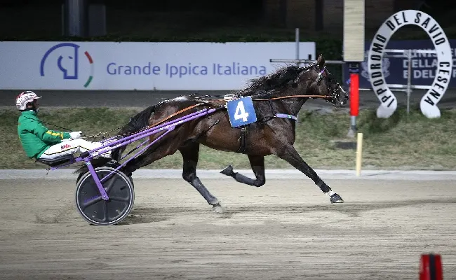 Ippica, Ippodromo di Cesena: resoconto delle corse di venerdì 17 luglio 2026