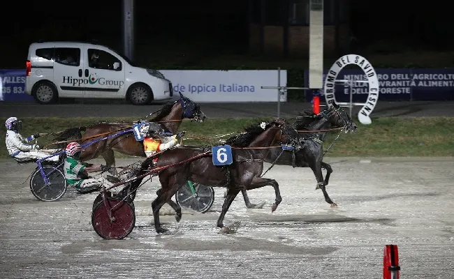 Ippica, ippodromo di Cesena: venerdì 24 luglio con sette corse dalle 20:45