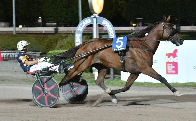 Ippica, Ippodromo Snai Sesana: nel sabato di trotto Dany Capar strappa la wild card per il Gran Premio Città di Montecatini