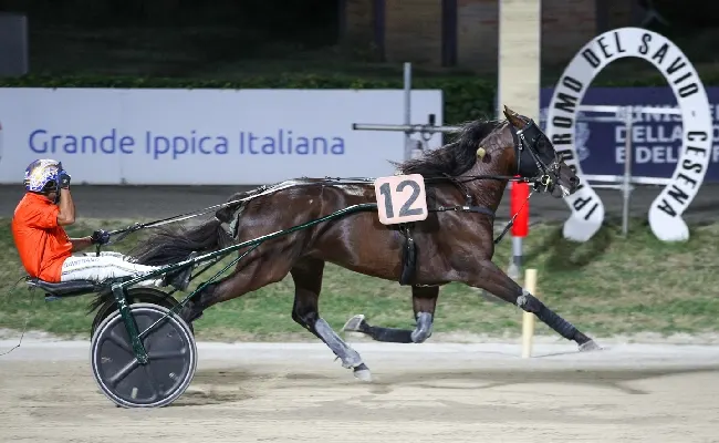 Ippica, Ippodromo Cesena: Vincenzo Luongo vince la terza semifinale del Tomaso Grassi Drivers Award 2026 e si qualifica alla Finalissima