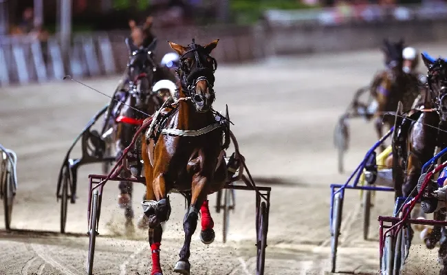 Ippica, Ippodromo di Cesena: venerdì 31 luglio ultimo appuntamento del mese con la Giostra di Cesena, sette corse dalle 20:45