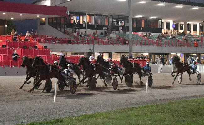 Ippica, Ippodromo Snai Sesana: record di Elva Jet e Fiorenza Cla nella corsa a Pariglie, mentre nel trotto montato la regina è solo Cornelia Op