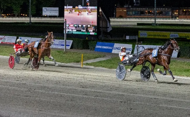Ippica, Ippodromo del Savio, sabato 8 agosto il Gran Premio Augusto Calzolari - Trofeo Panathlon Club Cesena