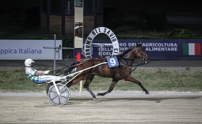 Ippica, Ippodromo di Cesena: resoconto delle corse di venerdì 7 agosto 2026