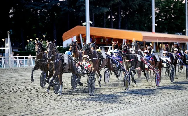 Ippica, Ippodromo Cesena: venerdì 14 agosto con sette corse, spicca il Premio FIPAC Ravenna-Cesena