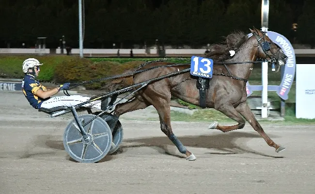 Ippica, Ippodromo Snai Sesana: Gold Fas vince il Premio Omega Tre TRM nel giovedì sera di trotto
