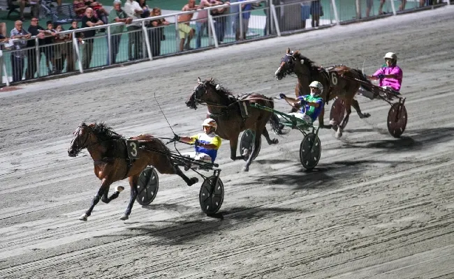 Ippica, Ippodromo di Cesena: sabato 22 agosto fari puntati sul Gran Premio Città di Cesena