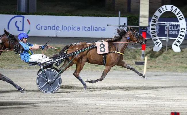 Ippica, Ippodromo di Cesena: resoconto delle corse di venerdì 21 agosto 2026