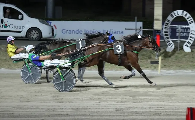 Ippica, Ippodromo di Cesena: Gill Dorial e Marco Stefani a segno nel Gran Premio Città di Cesena 2026