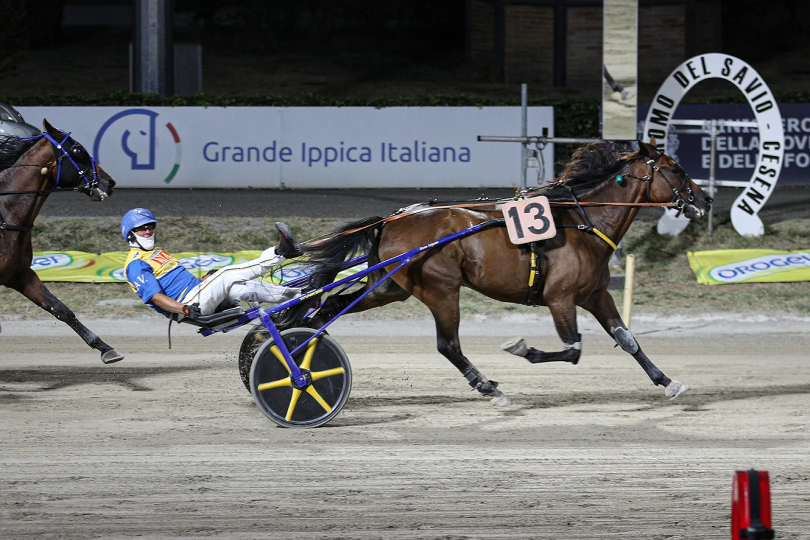 Ippica, Ippodromo di Cesena: resoconto delle corse di venerdì 4 settembre 2026